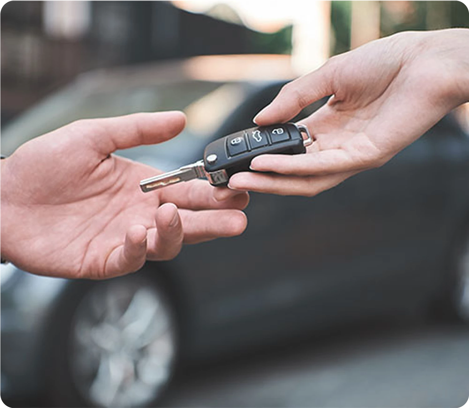 Fleet and Vehicle Rentals